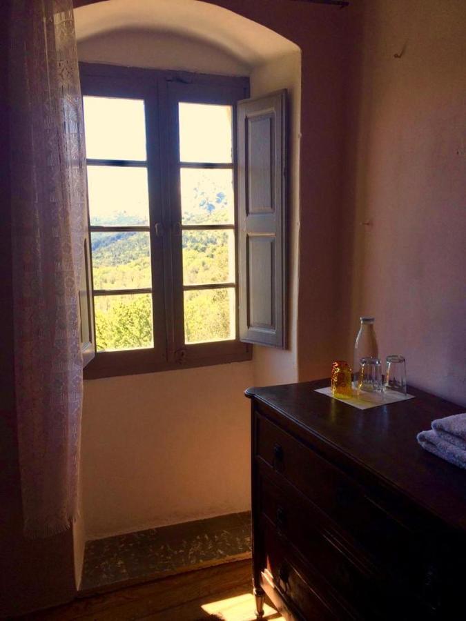 Bed and Breakfast Casa Franceschi à Pioggiola Extérieur photo